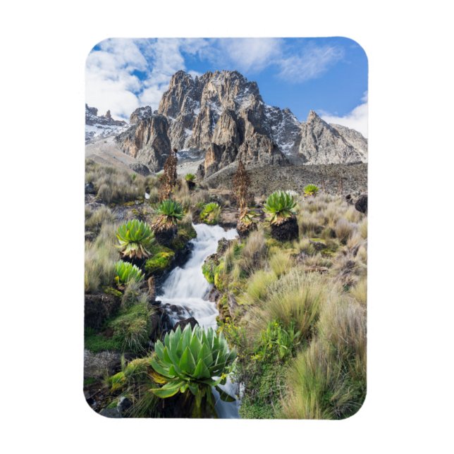 Central Mount Kenya nationalpark Magnet (Vertikal)