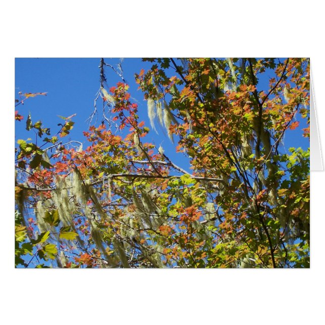 Central Oregon Fall OBS Kort (Framsidan Horizontal)