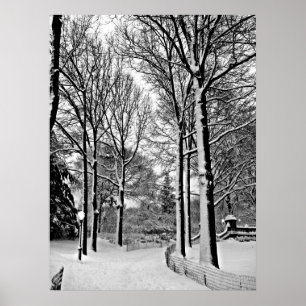 Central Park 2010 snö - CIMG6447-a Poster
