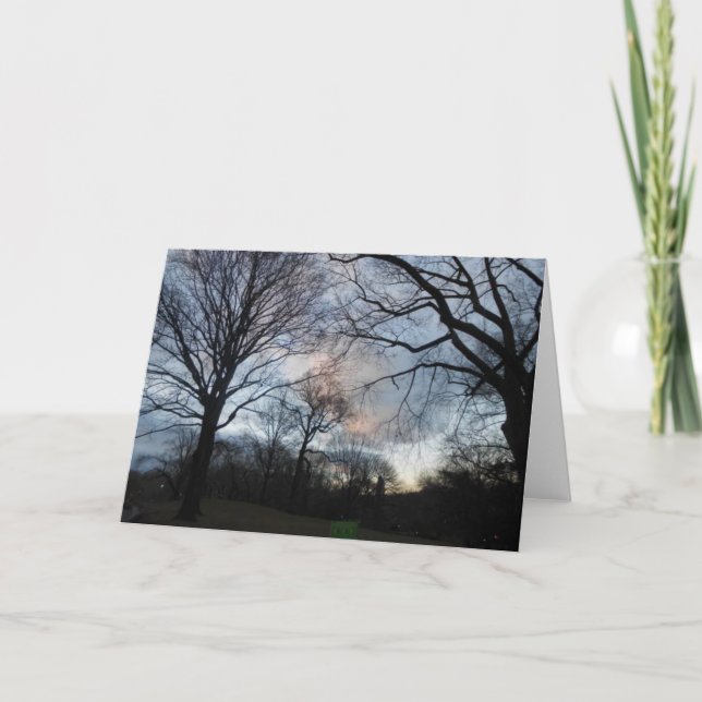 Central park B Kort (Framsida)