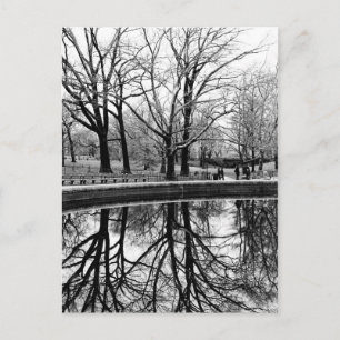 Central Park Black and White Ligcape Photo Vykort