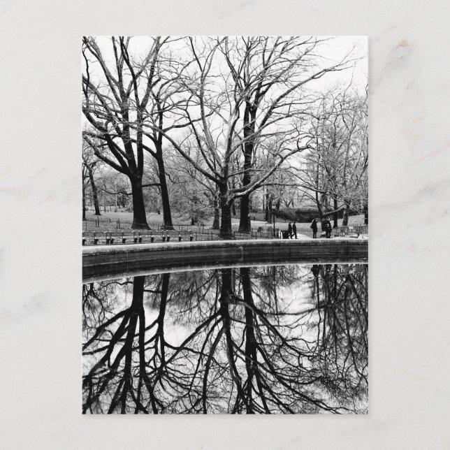 Central Park Black and White Ligcape Photo Vykort (Framsida)