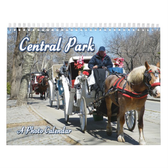 Central Park Calendar Kalender (Omslag)