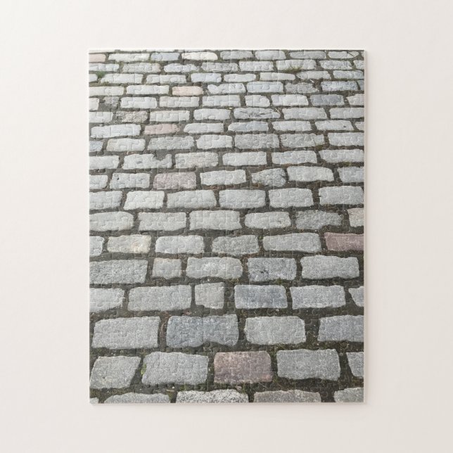 Central Park Cobblestones Stone Pathway NYC Photo Pussel (Vertikal)