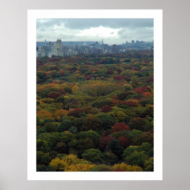Central Park Fall Poster (Framsidan)