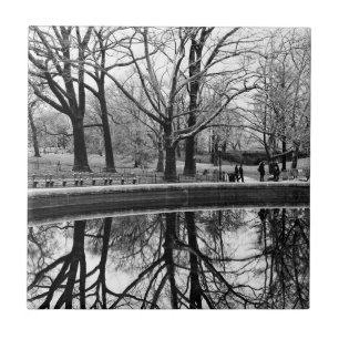 Central Park foto, NYC Kakelplatta