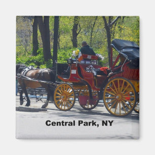 Central park, häst och transport magnet