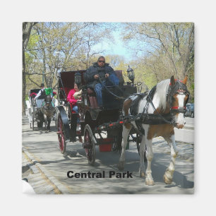 Central park, häst och transport magnet