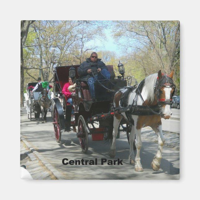 Central park, häst och transport magnet (Framsidan)