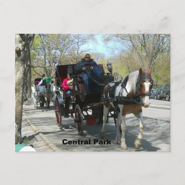 Central park, häst och transport vykort (Framsida)