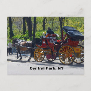 Central park, häst och transport vykort
