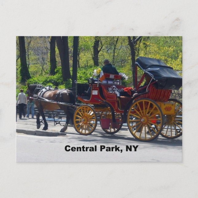 Central park, häst och transport vykort (Framsida)