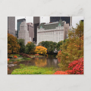 Central park i höstvykort vykort