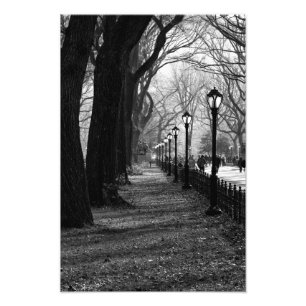 Central Park i New York City Fototryck