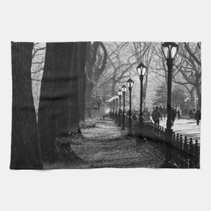 Central Park i New York City Kökshandduk