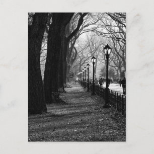 Central Park i New York City Vykort