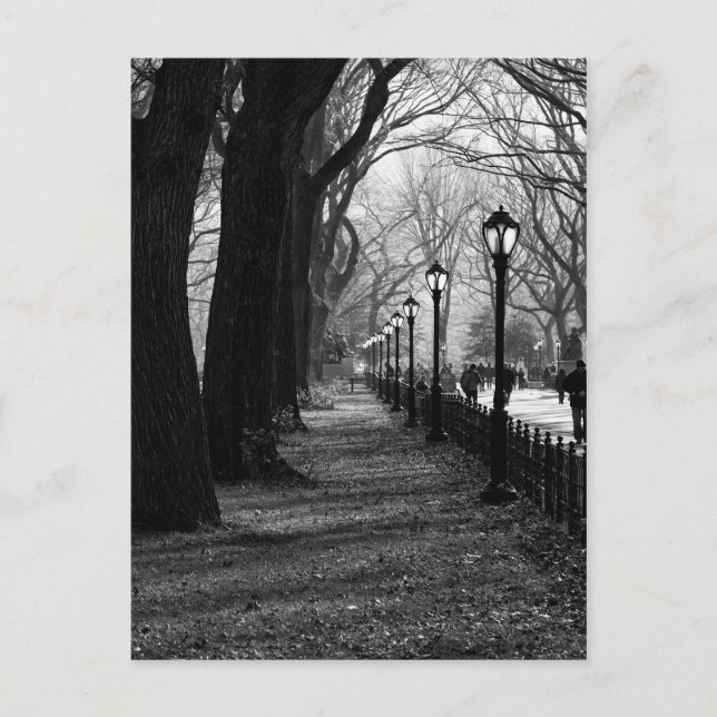 Central Park i New York City Vykort (Framsida)