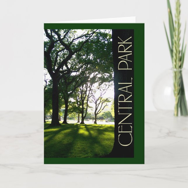 Central Park i NYC Kort (Framsida)