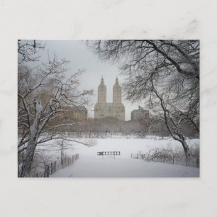 Central Park i Snö, New York City Vykort