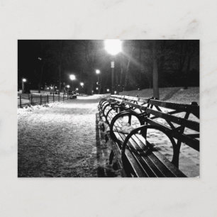Central Park i Winter Vykort