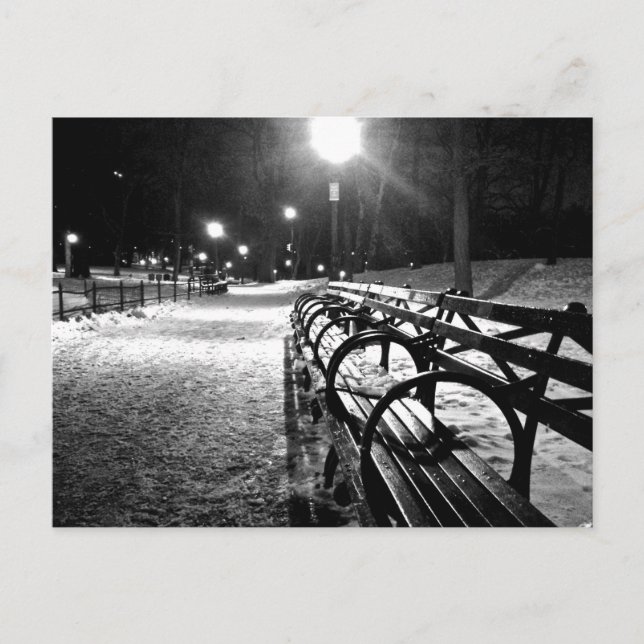 Central Park i Winter Vykort (Framsida)