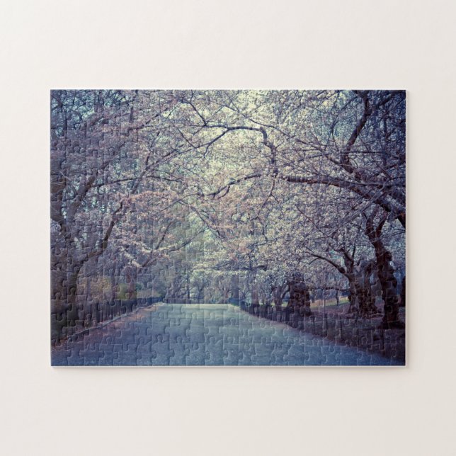 Central Park körsbärsröd blommarväg Pussel (Horisontell)