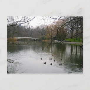 Central Park Lake NYC New York City Resebild Vykort