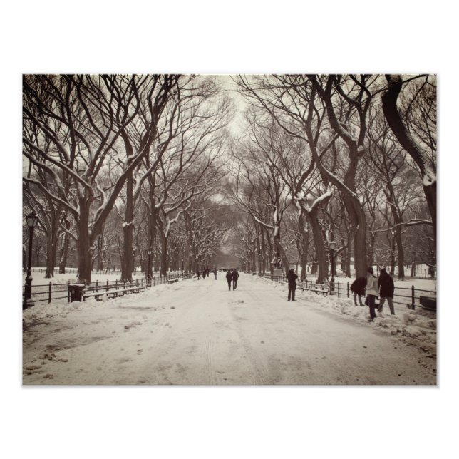 Central Park Mall Fototryck (Framsidan)