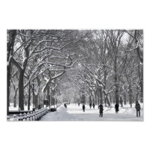 Central Park Mall Winter Scene