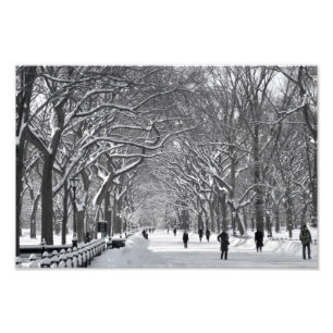Central Park Mall Winter Scene Fototryck