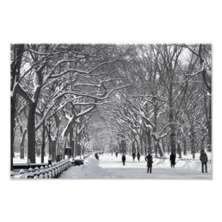 Central Park Mall Winter Scene Fototryck