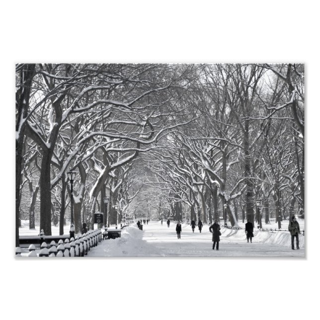 Central Park Mall Winter Scene Fototryck (Framsidan)