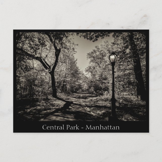 Central Park Manhattan i svart och vitt Vykort (Framsida)