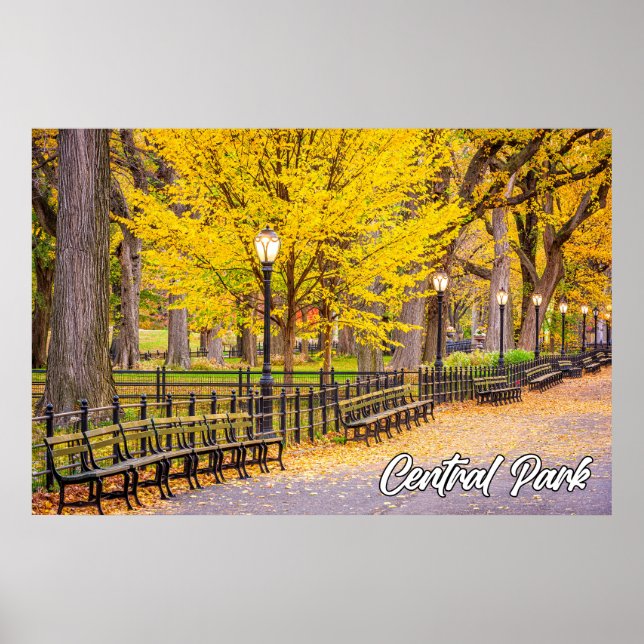 Central Park, Manhattan, New York, USA Poster (Framsidan)