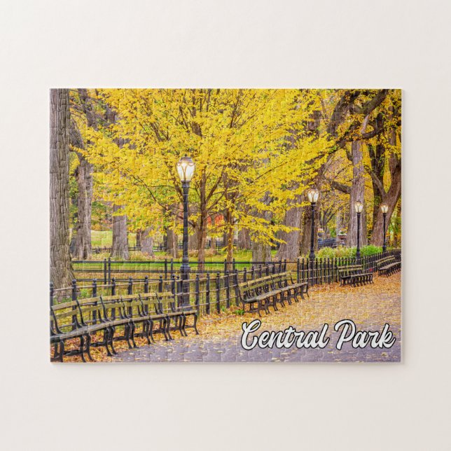 Central Park, Manhattan, New York, USA Pussel (Horisontell)