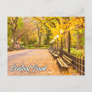 Central Park, Manhattan, New York, USA Vykort