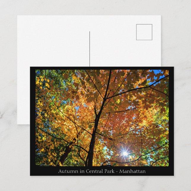 Central Park Manhattan vykort (Fram/baksida)