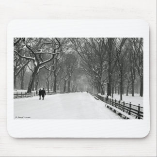 Central Park Musmatta