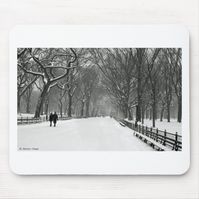 Central Park Musmatta (Framsidan)
