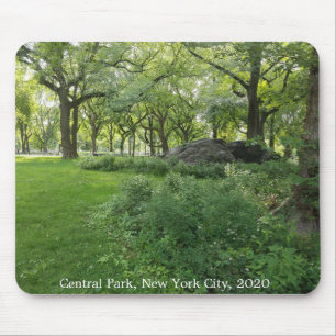 Central Park Nature New York City Träd Mousepad Musmatta