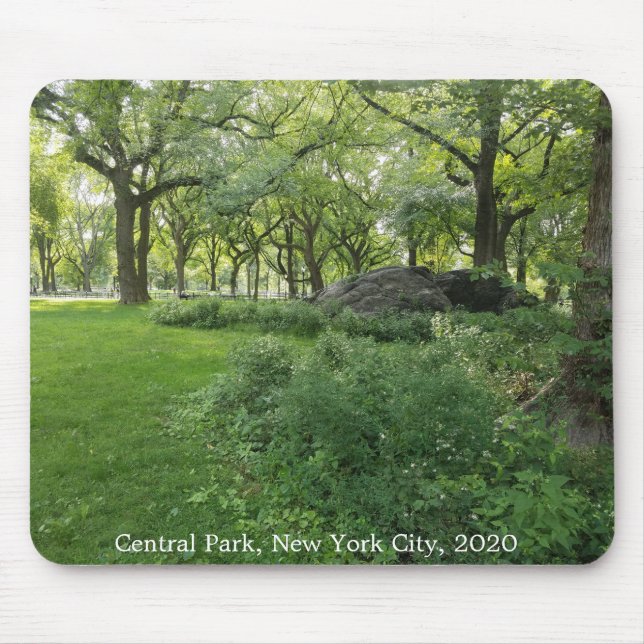 Central Park Nature New York City Träd Mousepad Musmatta (Framsidan)