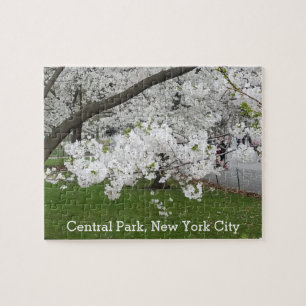 Central Park New York Blossoming Träd i Vår Pussel