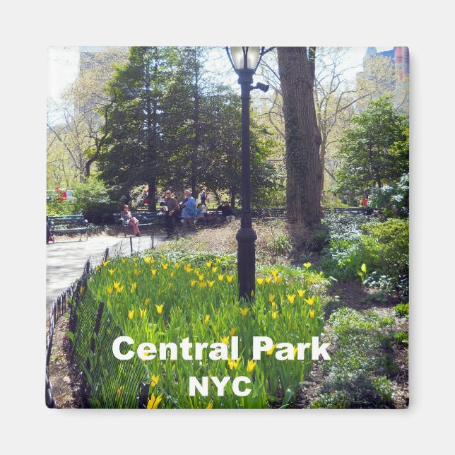 Central Park, New York City Magnet (Framsidan)