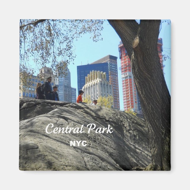 Central Park, New York City Magnet (Framsidan)