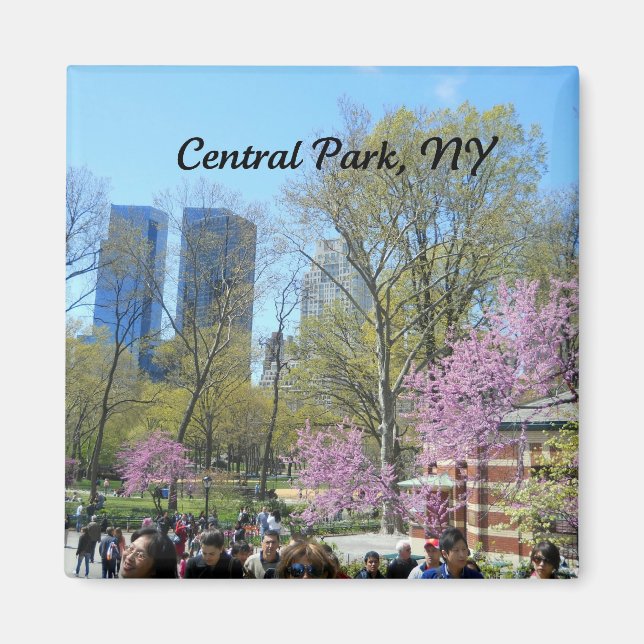 Central Park, New York City Magnet (Framsidan)