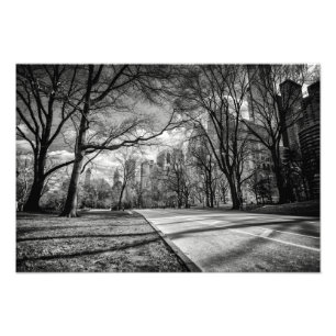 Central Park, New York City Photo Print Fototryck
