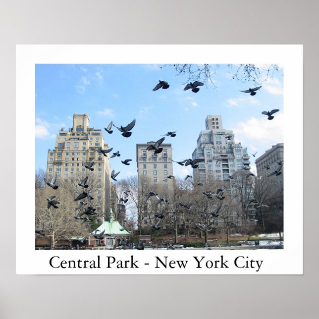Central Park - New York City Poster (Framsidan)