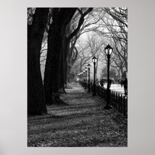 Central Park New York City Poster