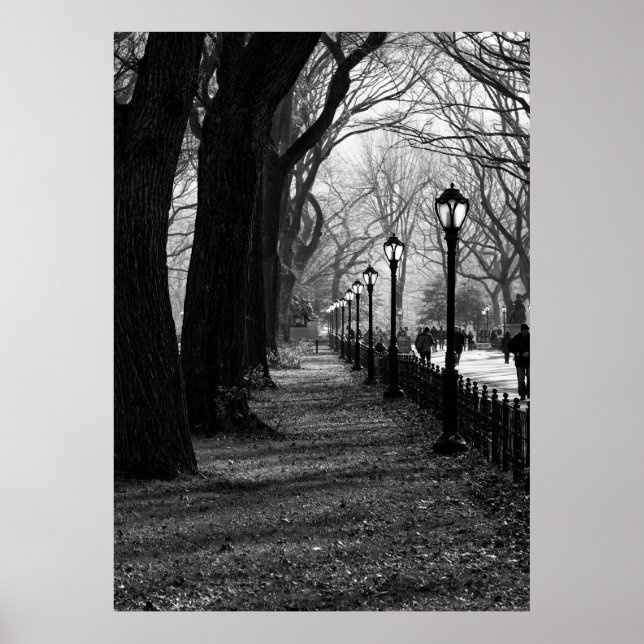 Central Park, New York City Poster (Framsidan)