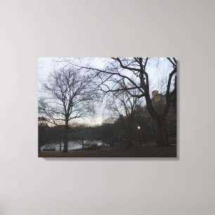 Central Park, New York City, USA Canvastryck